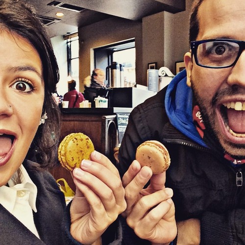 12573887_1500897156881966_5185578316540088136_n.jp