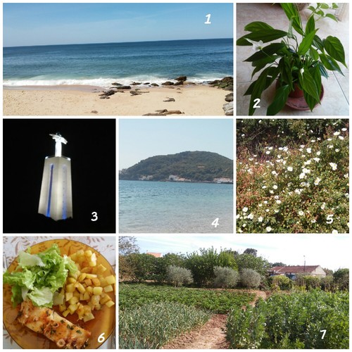 1492294430531.jpg 1492294430531.jpg