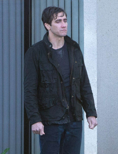 Nocturnal Animals 3.jpg Nocturnal Animals 3.jpg