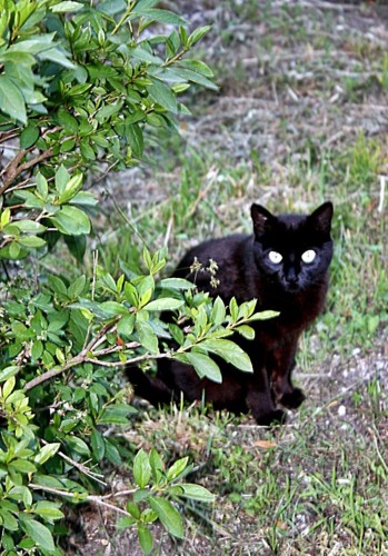 IMAGENS 090.jpg IMAGENS 090.jpg