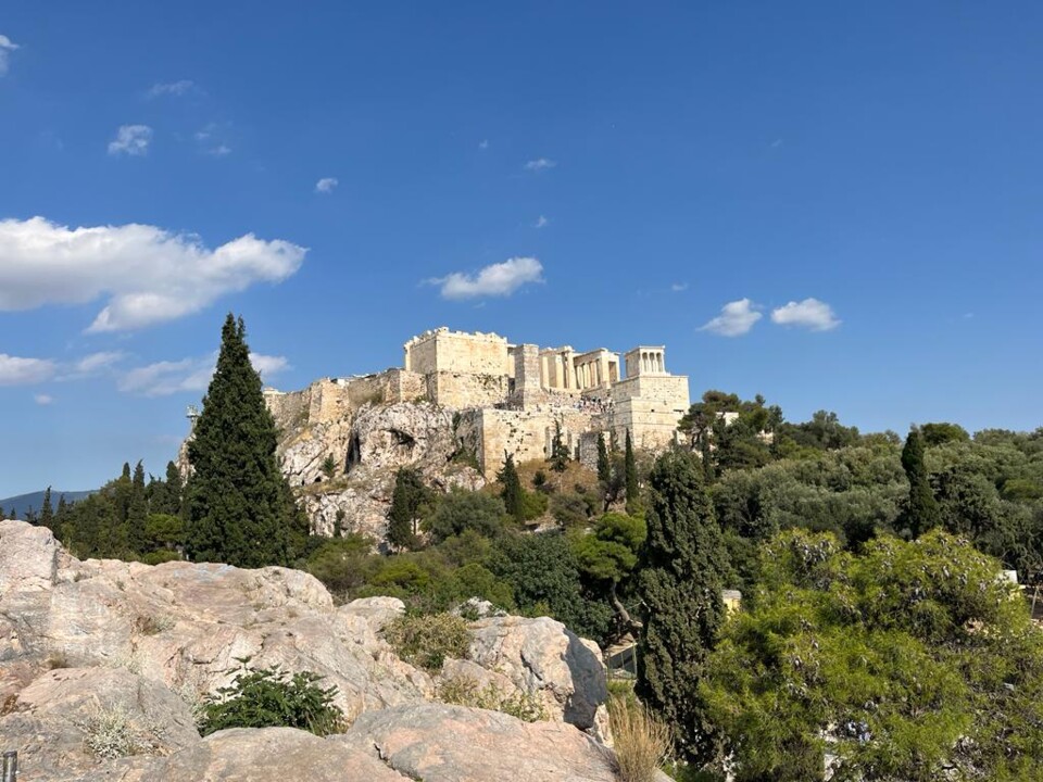 WhatsApp Image 2023-05-31 at 10.59.49 (1).jpeg