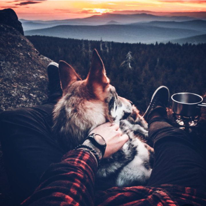 121549181_2689158001345480_6236684950877366131_n (