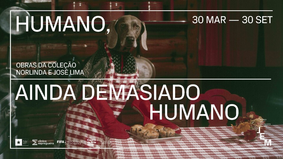 EJEM_HumanoAindaDemasiadoHumano.jpg