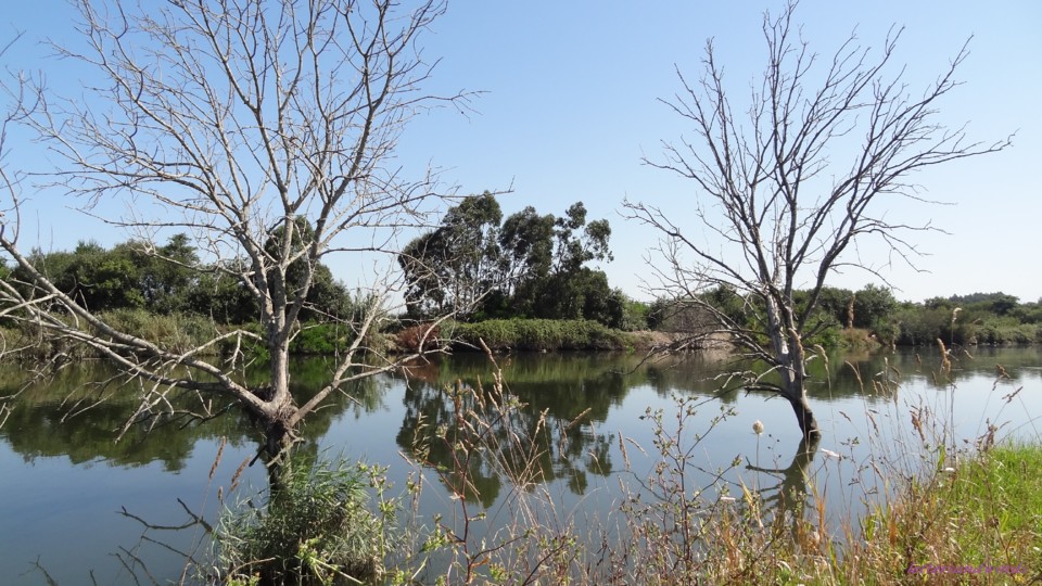 DSC07945.JPG DSC07945.JPG