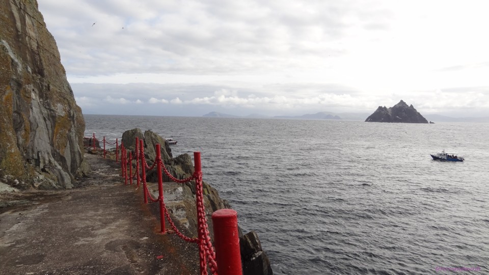 DSC06953.JPG DSC06953.JPG