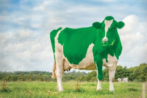 green_cow.jpg