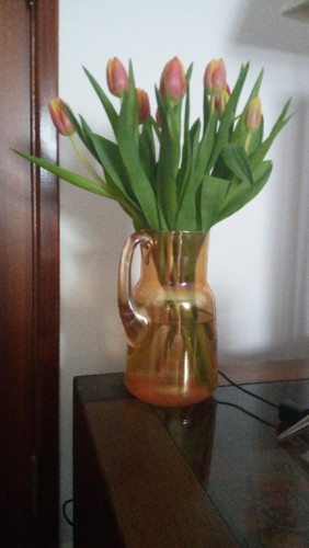 IMG_20190313_075946.jpg IMG_20190313_075946.jpg