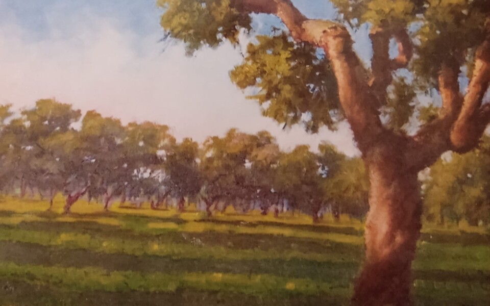 Helena Cambezes - óleo.jpg