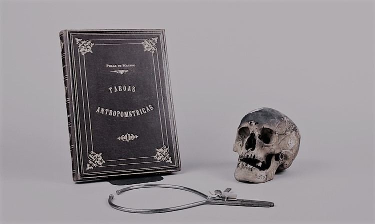 colecao ferraz de macedo.jpg