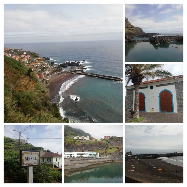 IMG_20200706_115804-COLLAGE.jpg IMG_20200706_115804-COLLAGE.jpg