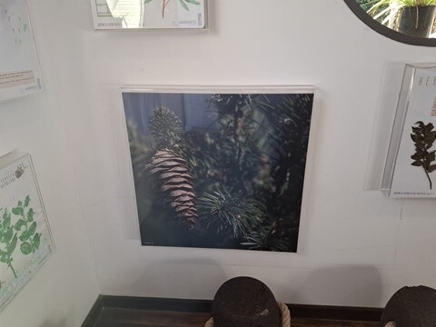 30a_Caminhada_a_Dois_PRU (20).jpg