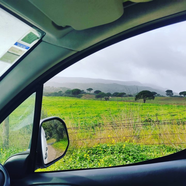 140177669_1934230560050029_6950851331623722616_o.j