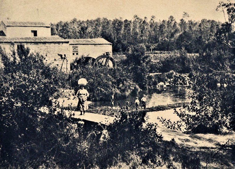 rioneivamoinh (4).jpg