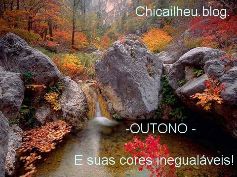 Outono espectacular2.jpg