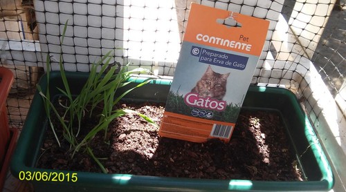 agriculturavaranda1.jpg agriculturavaranda1.jpg