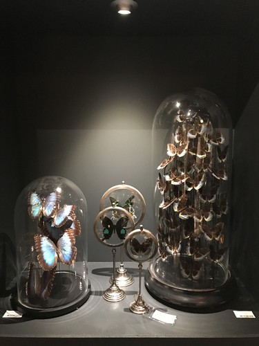 Primeira Casa da Rua by Nuno Matos Cabral.JPG Primeira Casa da Rua by Nuno Matos Cabral.JPG