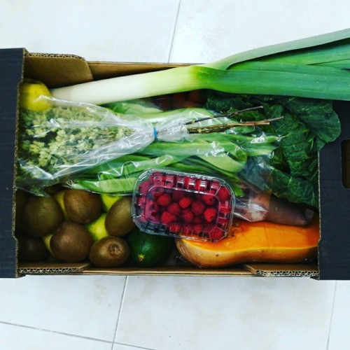 28055881_1045377575602003_2405956496209001137_n.jp 28055881_1045377575602003_2405956496209001137_n.jp