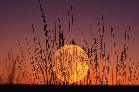 calendario lunar.jpg