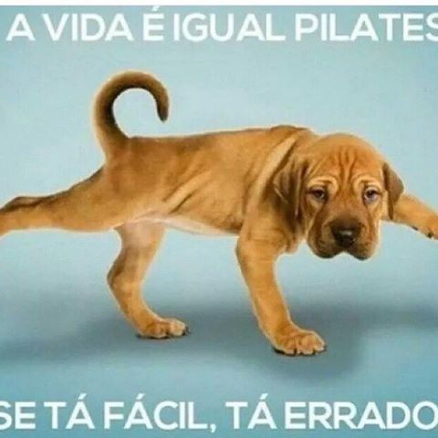 12501479_559903387500605_1867804395_n.jpg 12501479_559903387500605_1867804395_n.jpg