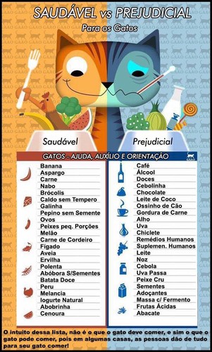 18893210_1290800527683920_9216025363780192477_n.jp