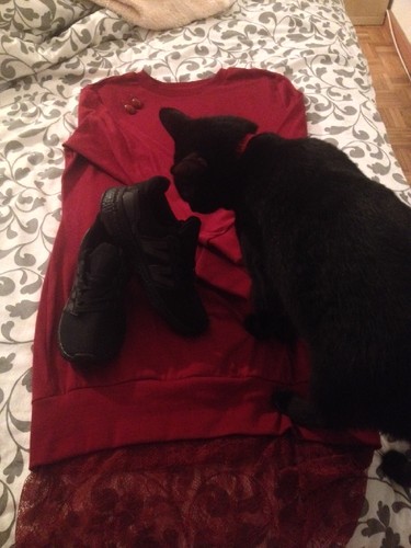 IMG_1833.JPG IMG_1833.JPG