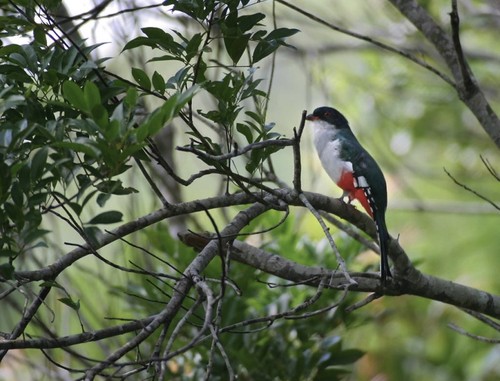 121003785.aX0z0jbl.jpg 121003785.aX0z0jbl.jpg