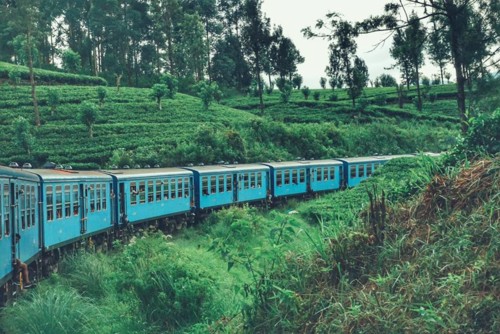 22195530_10214598285900924_9116935263751109924_n.j