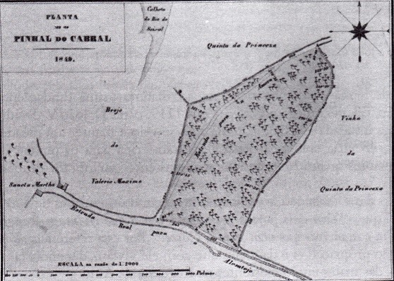 Planta do Pinhal do Cabral 1849.jpg