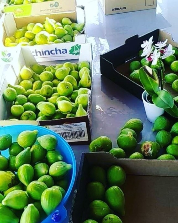 117107852_1779185288887891_5832161929256160034_n.j