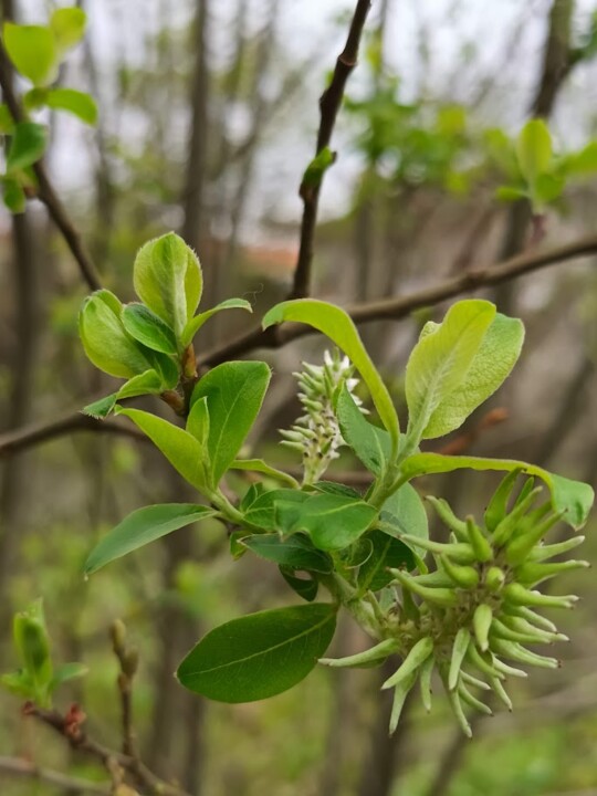 Não me canso disto_Inverno6.jpg