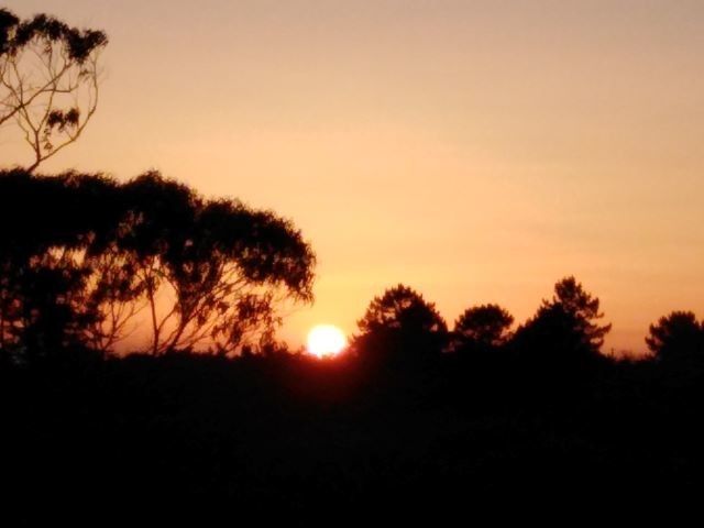 IMG_20210609_205855 - Cópia.jpg