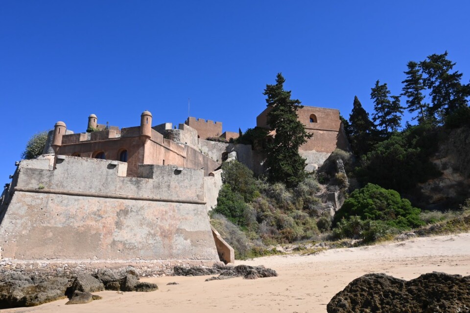 Não me canso disto ferragudo.JPG