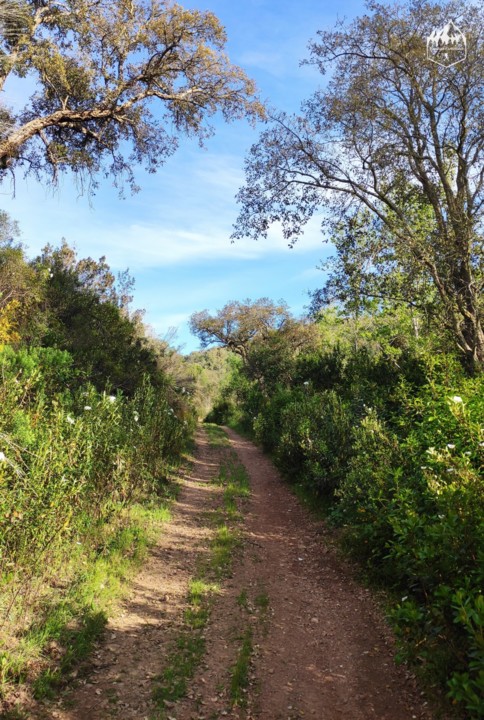 Photo_1622880554174 (1).jpg