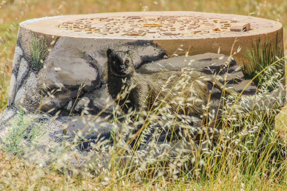 trilho das vinhas-3.jpg