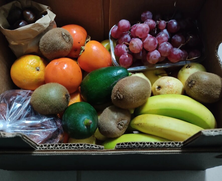 402107230_726177229539690_6440171247898410009_n.jp