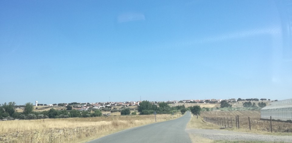 IMG_20210712_195904.jpg IMG_20210712_195904.jpg