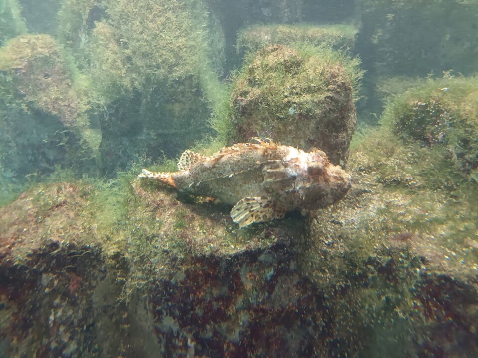 Não me canso disto Corunha 5.jpg