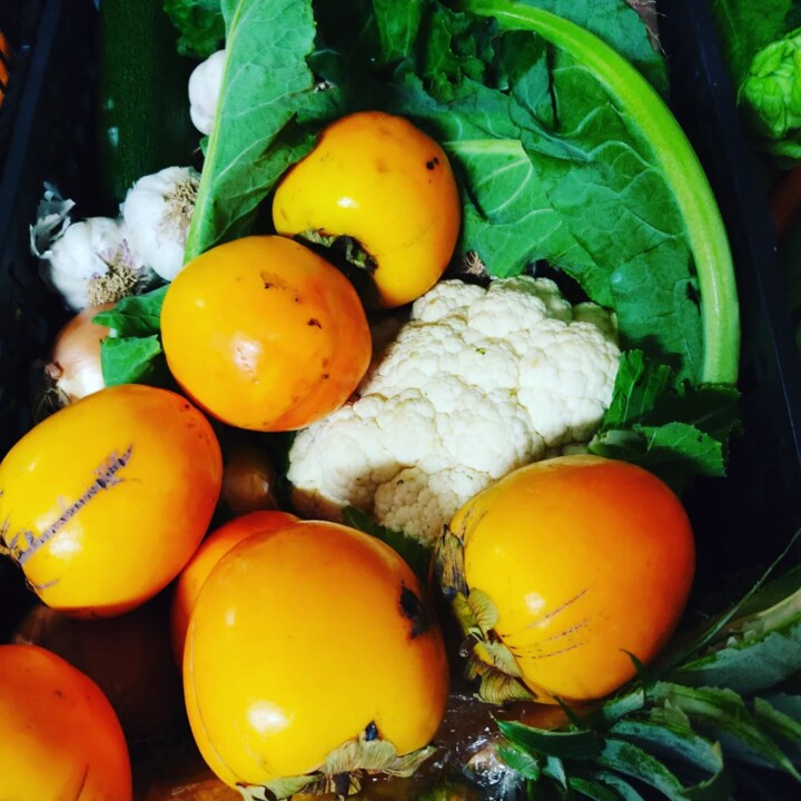 318177564_2484582811681465_4659640396445625883_n.j