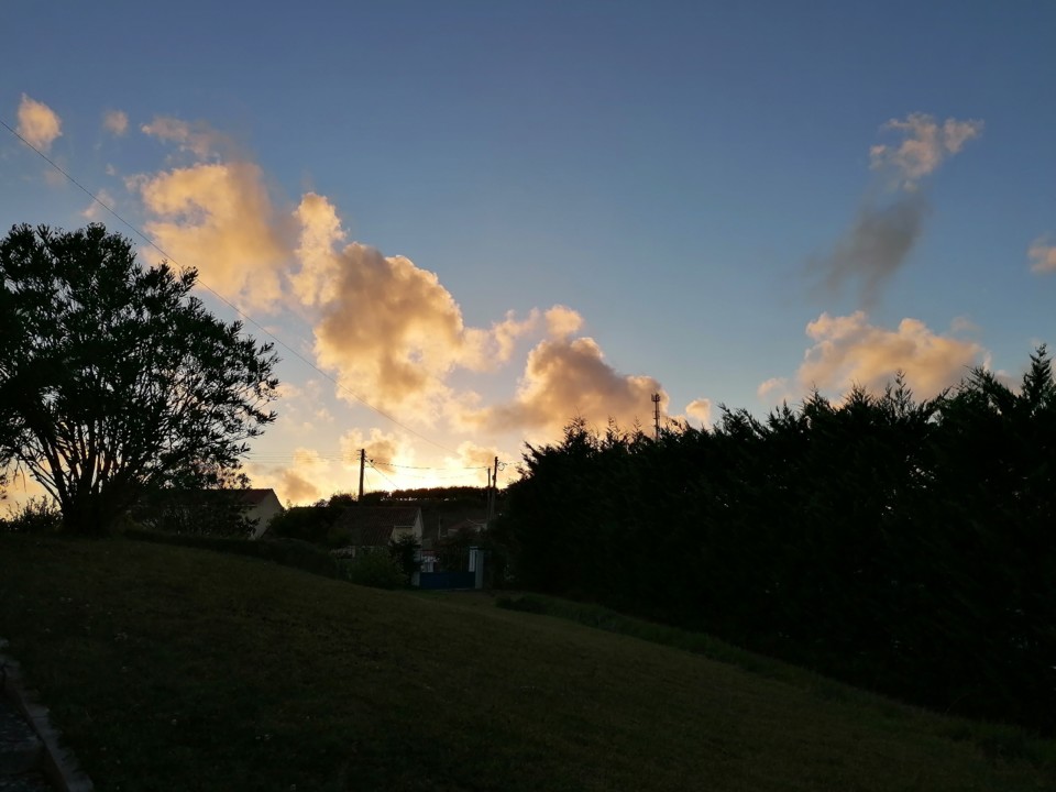 IMG_20200824_232306_604.jpg IMG_20200824_232306_604.jpg