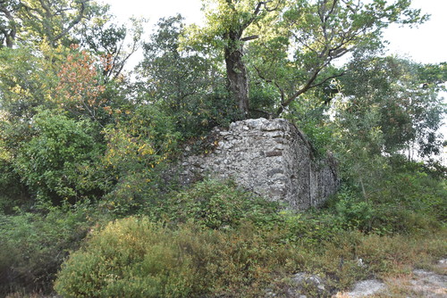 DSC_0659.JPG DSC_0659.JPG