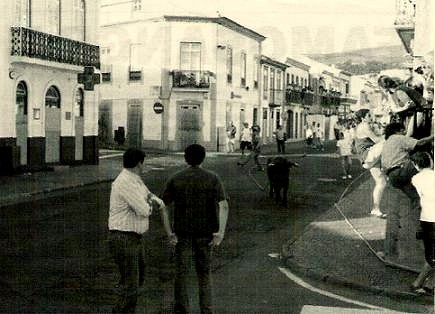 Dia de toiros na Guarita...