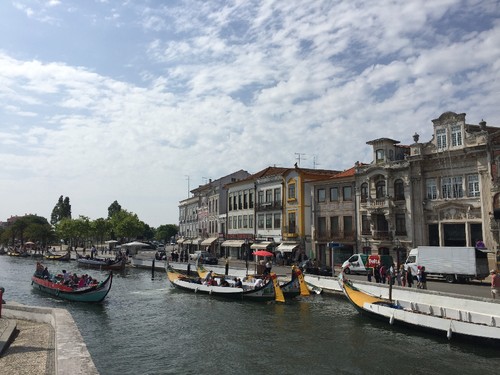 IMG_1122.JPG IMG_1122.JPG