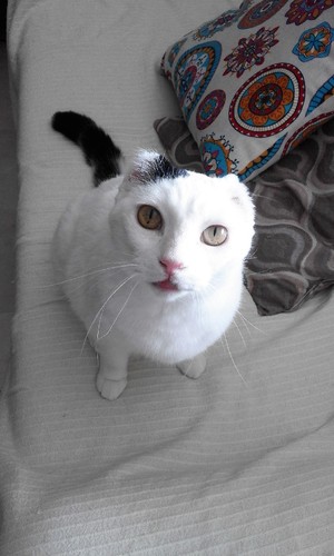 20170418_125333.jpg 20170418_125333.jpg