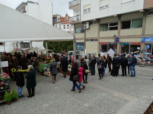 Feira do Queijo Em Seia !!! 175.jpg