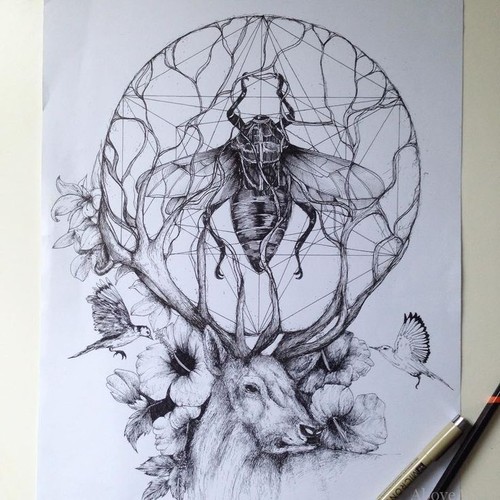 9e2051ef7195e3c0be9e18530b02a955--amazing-sketches