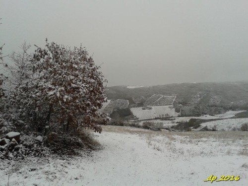 20161216_100212 20161216_100212