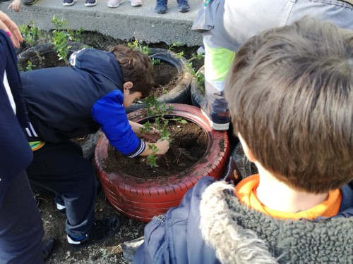 IMG_20180321_151424.jpg IMG_20180321_151424.jpg