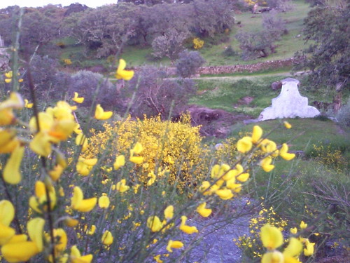 Giestas Maio. Foto original de DAPL 2014 jpg