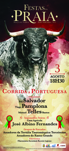 cartaz_TouradaFP2015reduzido.jpg