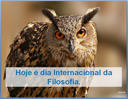 Dia Internacional da Filosofia.jpg